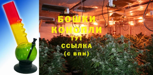 прущие крисы Надым