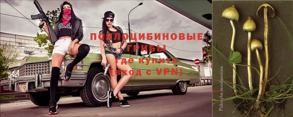 мяу мяу мука Михайловск