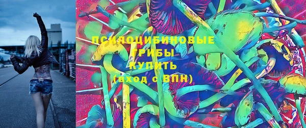 метадон Михайлов