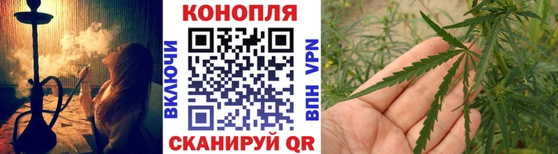 Купить закладки  Прохладный  Бошки марихуана MAZAR 
